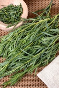 L'estragon bienfaits et usages de l'huile essentielle d'estragon
