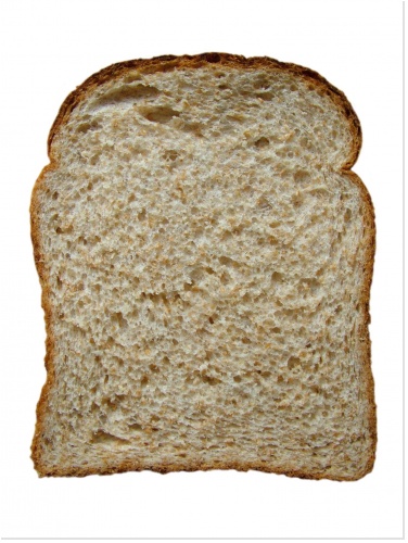 les fibres