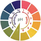 Atelier l’équilibre acide-basique