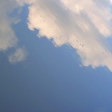 Est ce que la maladie commence réellement dans le côlon ?